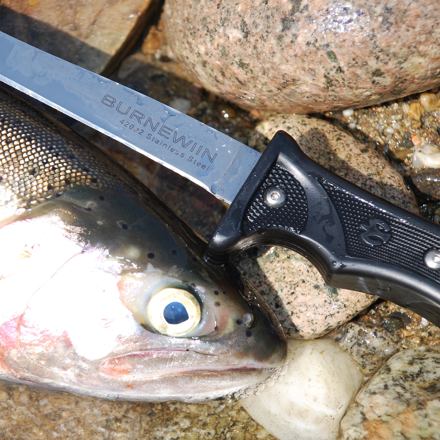 A closeup view of the Burnewiin KN3610 7-inch Fillet Knife next to a fish waiting to be gutted and filleted.