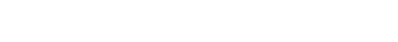 Burnewiin logo