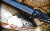 A closeup view of the Burnewiin KN3610 7-inch Fillet Knife next to a fish waiting to be gutted and filleted.